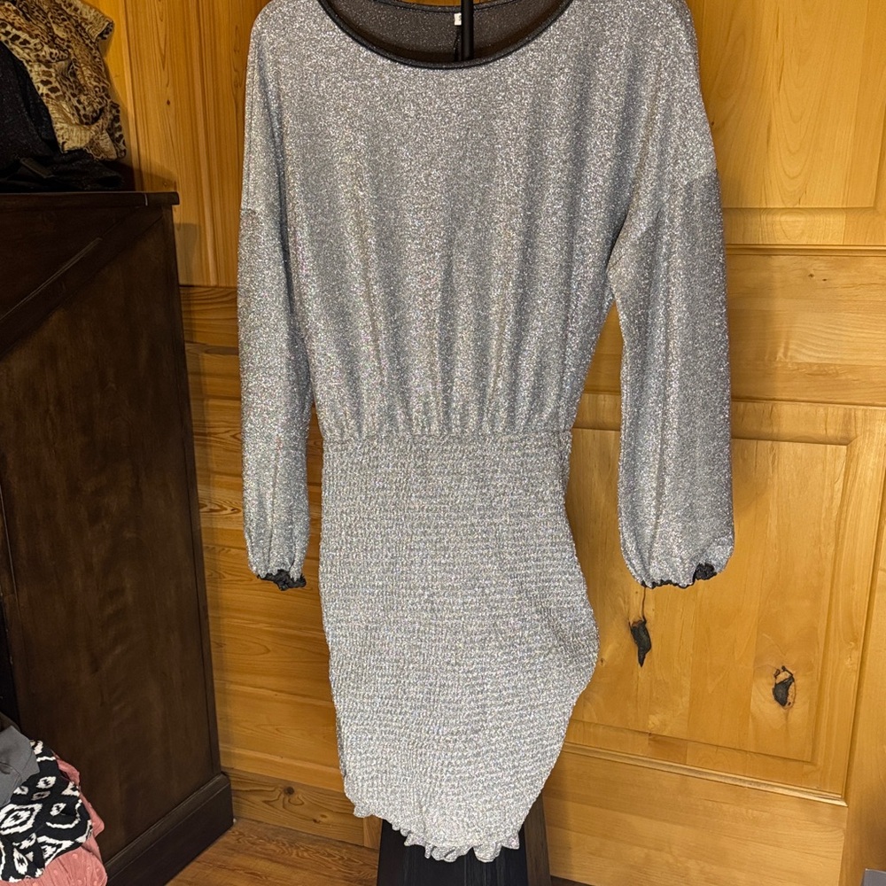 Elegant Long Sleeve Silver Dress